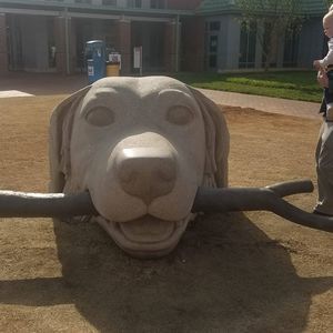 Meet your Posher, Michele